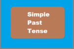 Simple Past Tense